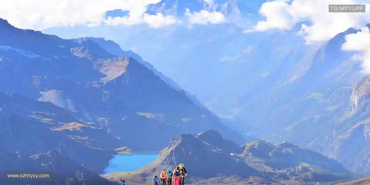 🏀巅峰对决,见证冠军诞生的荣耀瞬间!🏆